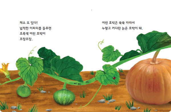 맛있는 채소놀이 책 페이지