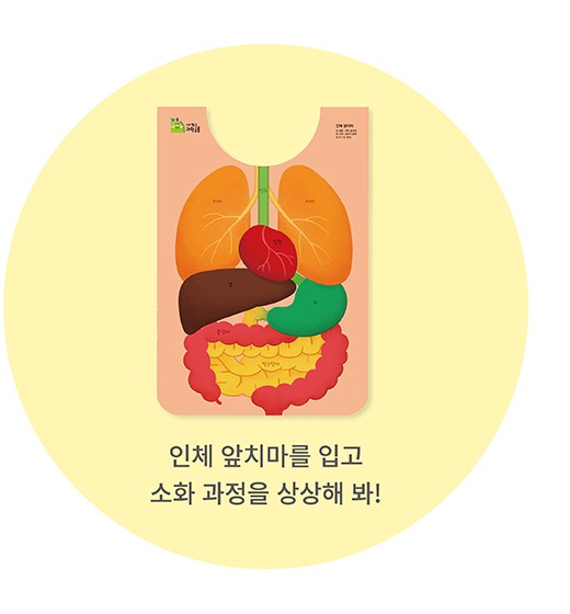 인체 앞치마를 입고 소화 과정을 상상해 봐!